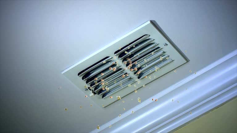  Goodwater, AL Airduct Cleaning Pros