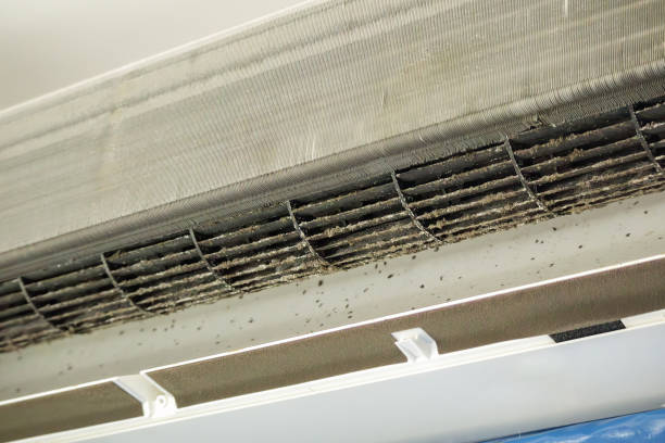 Best Home Air Vent Cleaning  in Goodwater, AL